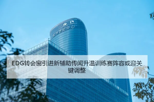 EDG转会窗引进新辅助传闻升温训练赛阵容或迎关键调整
