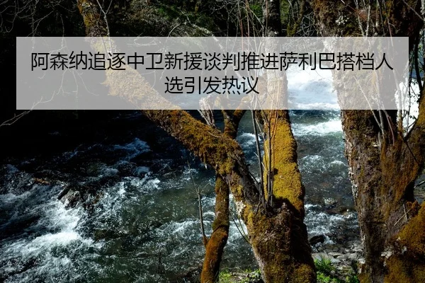 阿森纳追逐中卫新援谈判推进萨利巴搭档人选引发热议